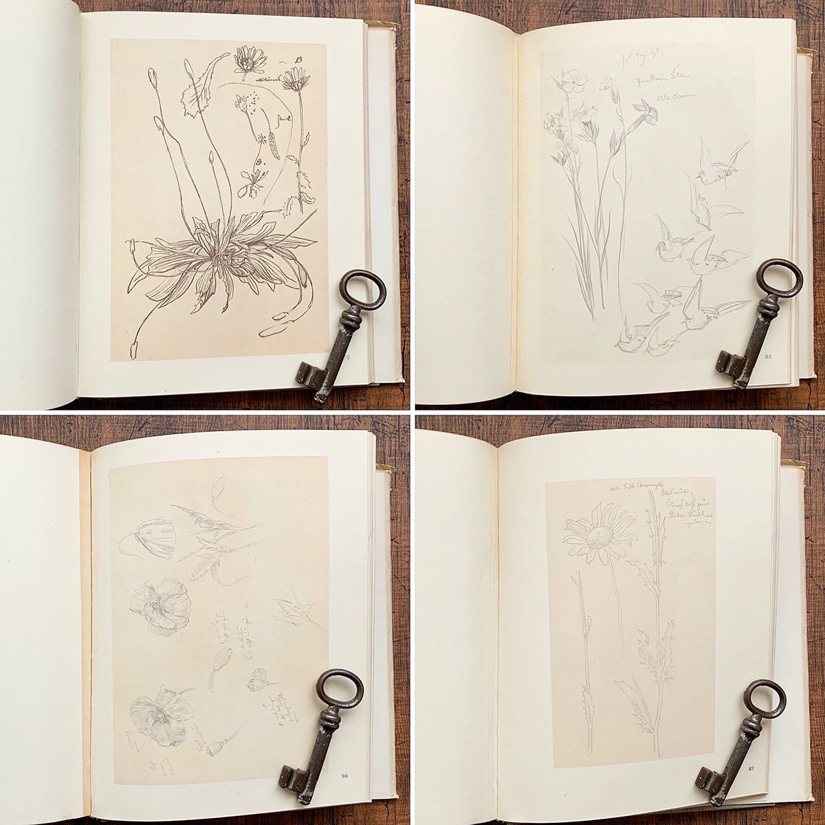 ヨゼフ・マーゼフの古い植物画集(JOSEF MANES・KVETINY 1941年 ヨゼフ・マーゼフの古い植物画集(JOSEF MANES・KVETINY 1941年