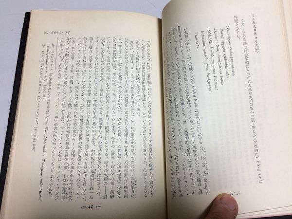 ●P009●文学におけるマニエリスム●言語錬金術ならびに秘教的組み合わせ術●全2巻完結●グスタフルネホッケ●種村季弘●現代思潮社_画像9