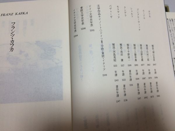 ●P116●集英社ギャラリー世界の文学●12●カフカ変身ムージル三人の女シュルツ肉桂色の店クンデラ存在の耐えられない軽さモラヴィア_画像4