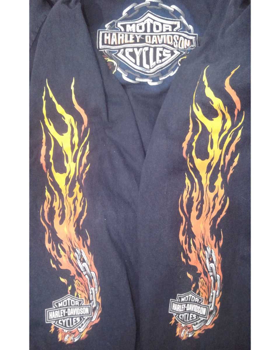 Vintage Harley-Davidson Hanes long sleeve T-shirt 00s ハーレー ダビッドソン ヘインズ ロンT 袖プリ ビッグサイズ ビンテージ_画像8