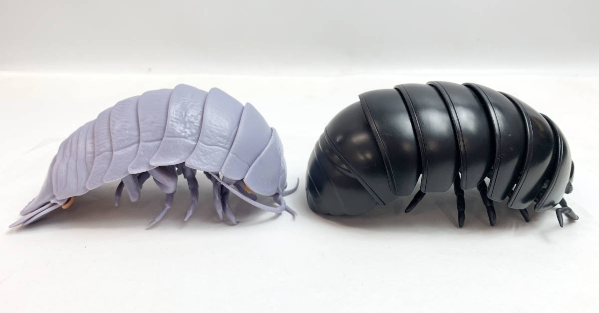 ダンゴムシガチャ ダイオウグソクムシ オカダンゴムシ カプセルトイ ガチャガチャ 6-27|代購幫 ダンゴムシガチャ ダイオウグソクムシ オカダンゴムシ カプセルトイ ガチャガチャ 6-27|代購幫