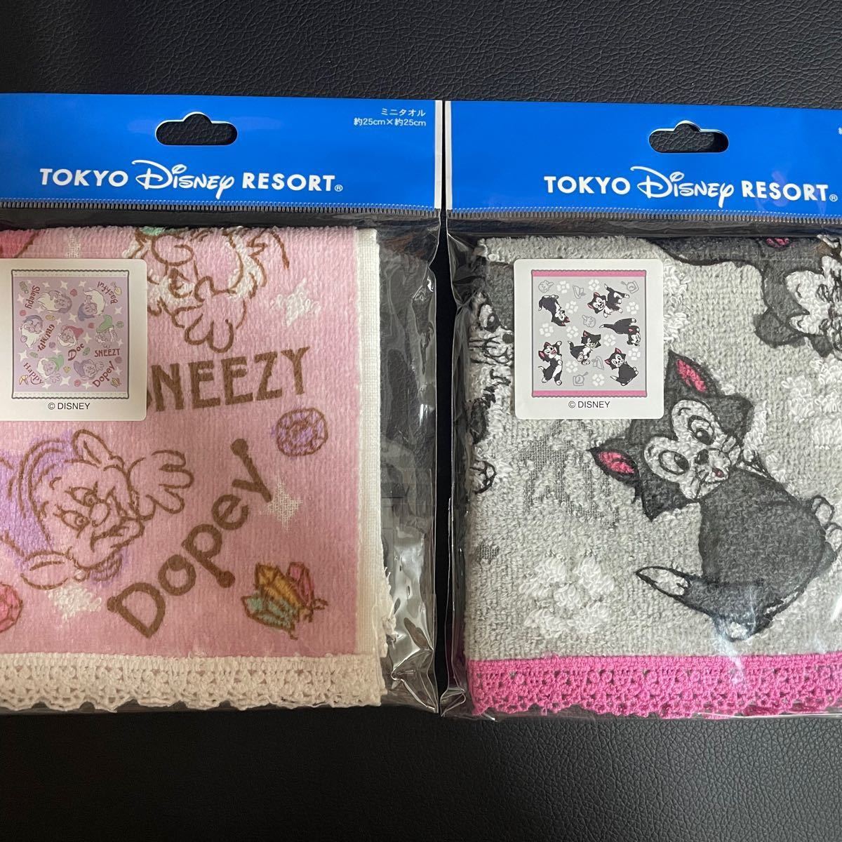 ミニタオル ウォッシュタオル ディズニー 東京ディズニー ミニタオル ウォッシュタオル ディズニー 東京ディズニー