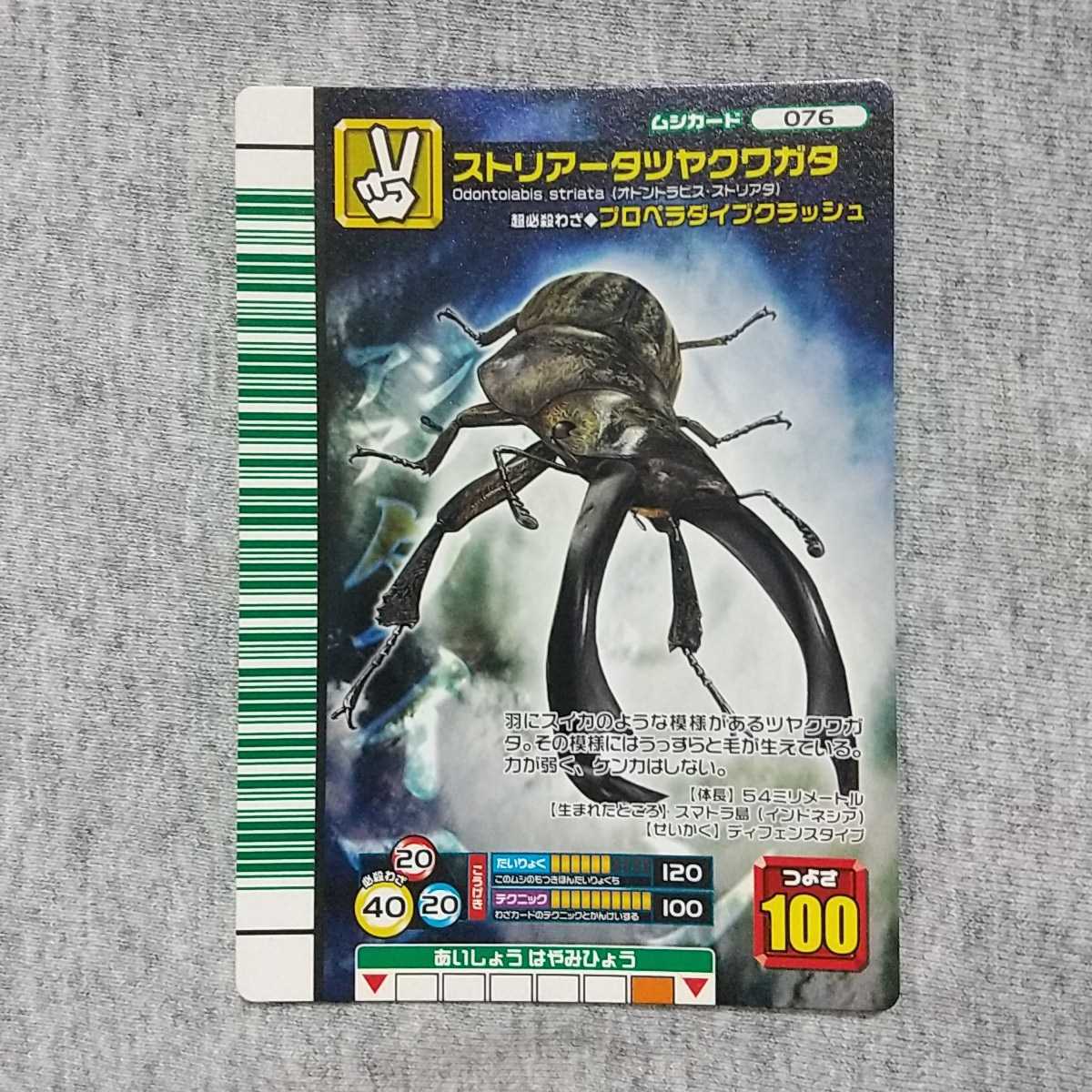Yahoo!オークション - 甲虫王者ムシキング 2007 ファースト Yahoo!オークション - 甲虫王者ムシキング 2007 ファースト