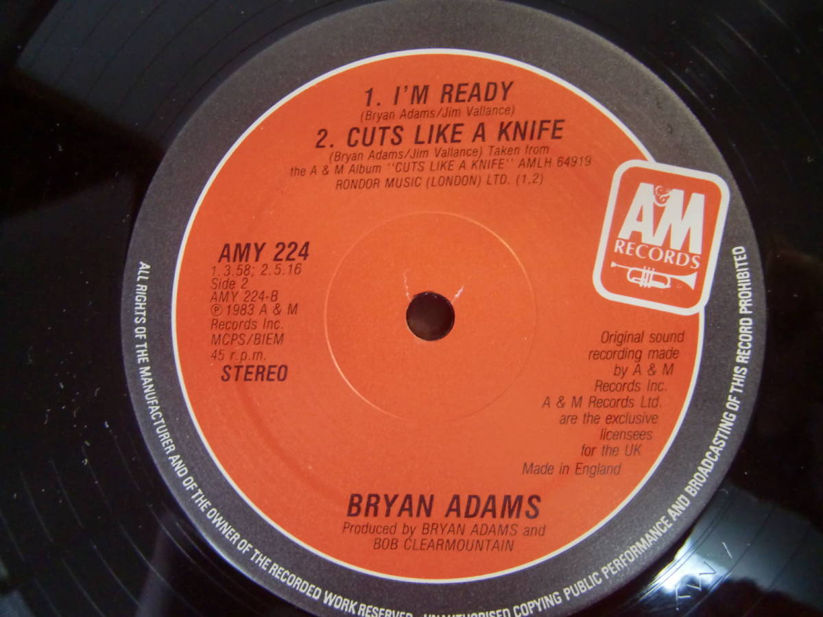 【 12inch 】BRYAN ADAMS ブライアン・アダムス 　　　　/　　　　　RUN TO YOU　　　- SPECIALLY REMIXED VERSION - _画像6