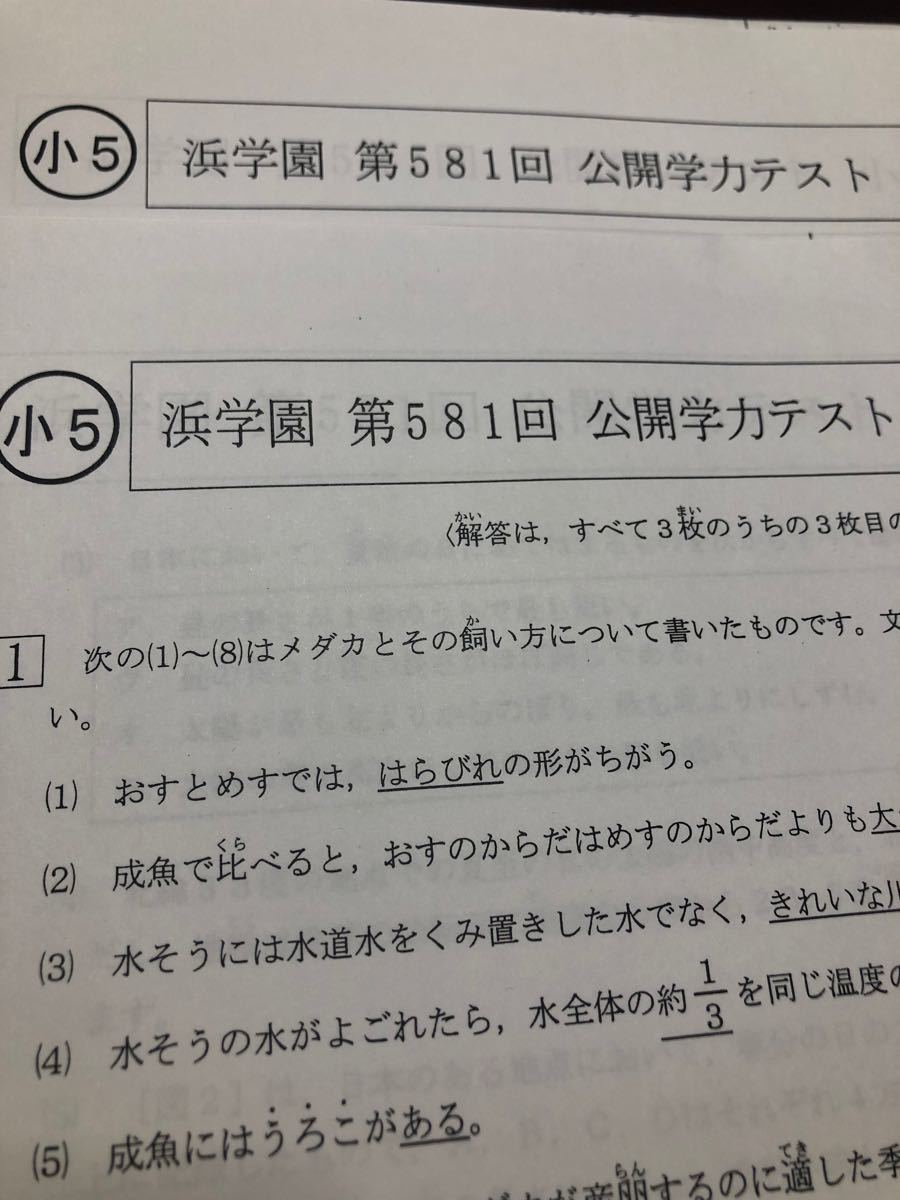 浜学園小5公開学力テスト 3科目国語  算数 理科   成績資料付き