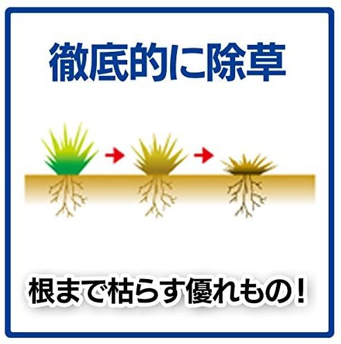 アイリスオーヤマ 除草剤 速効除草剤 4L そのまま使える SJS-4L_画像5