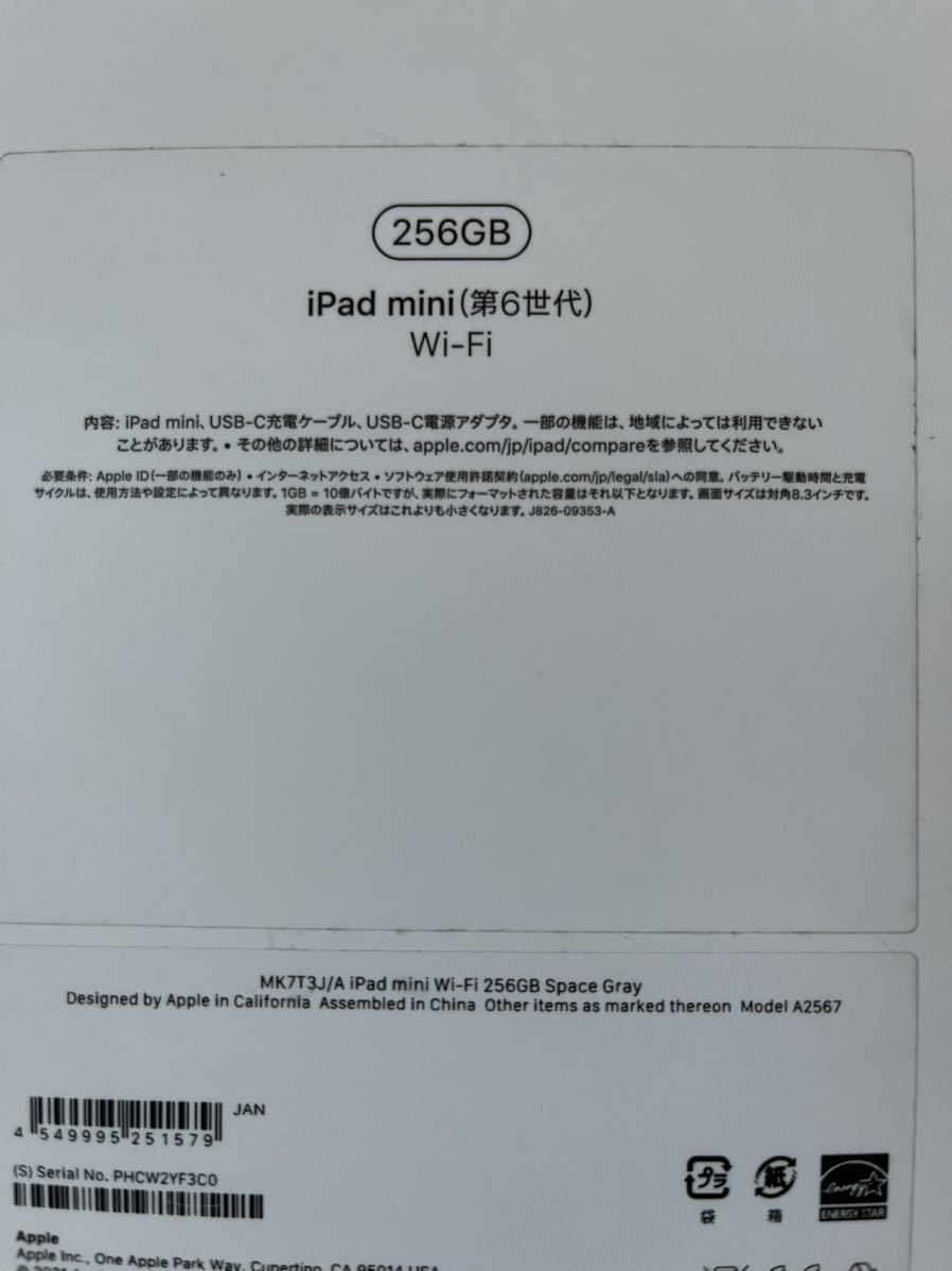 【超美品】iPad mini 8.3インチ 第6世代 Wi-Fi 256GB 2021年秋モデル MK7M3J/A [スペースグレイ]iPad Pro _画像7