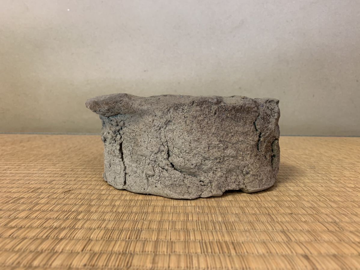 正規代理店正規代理店山野草鉢 龍聖作 陶芸 | purcellcom.com