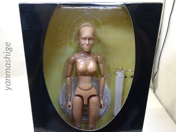 新品 1/6 サイドショウトイ素体 白人男女2体セット Caucasian Art S.Buck Artist Model デッサンモデル SIDESHOW COLLECTIBLES_画像2