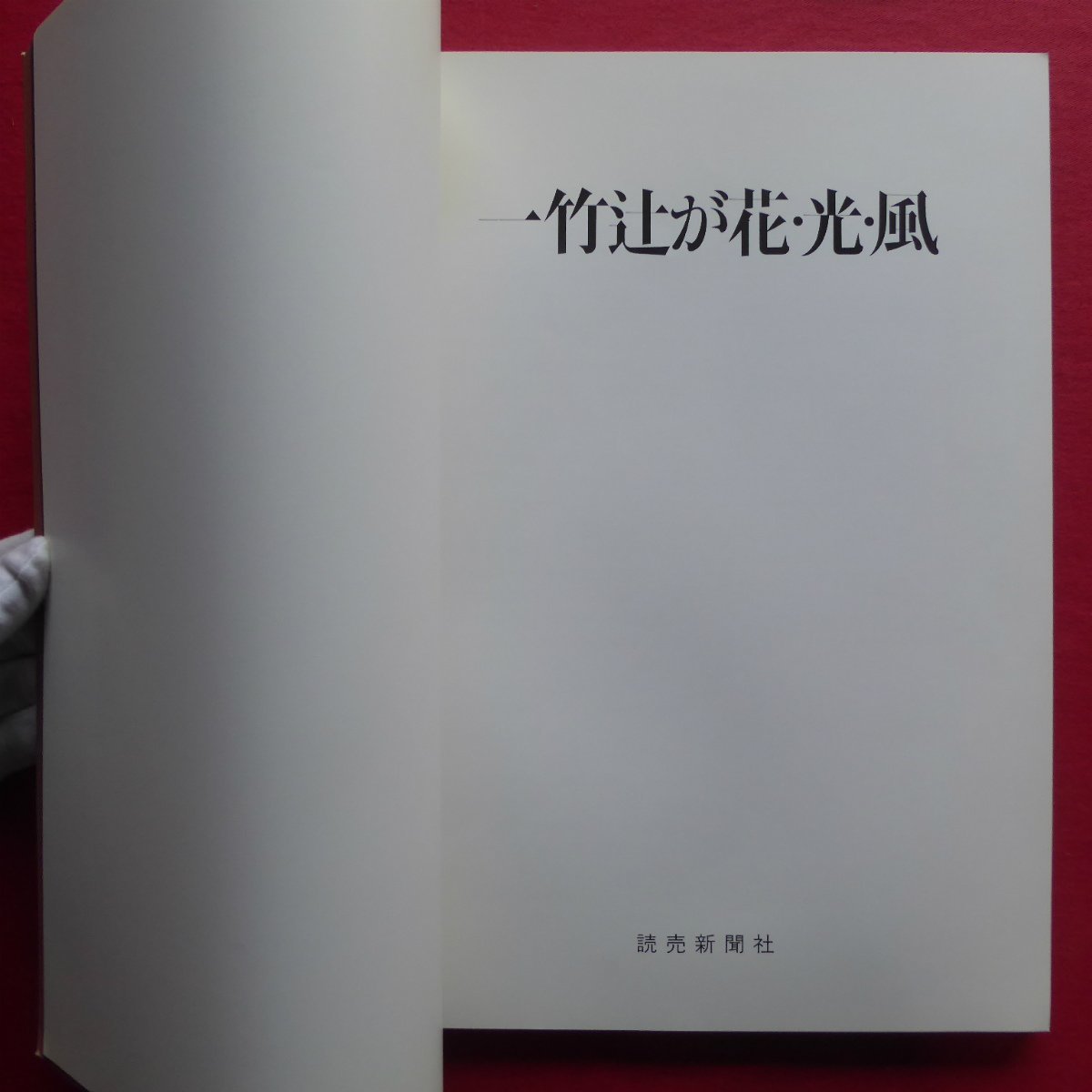 s1図録【一竹辻が花・光・風/1984年・ラフォーレミュージアム赤坂ほか】水のテーマ/光響/華厳縁起絵巻_画像4