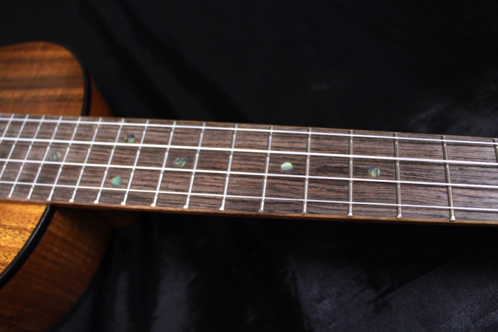 新品 KUMU Ukulele(クム) TM74AP PU付き テナーサイズ タキシード