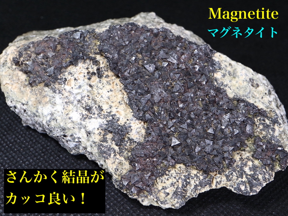 【送料無料】自主採掘！マグネタイト クリスタル 磁鉄鉱 244,5g ユタ州産 MGT016 原石　天然石　鉱物 パワーストーン