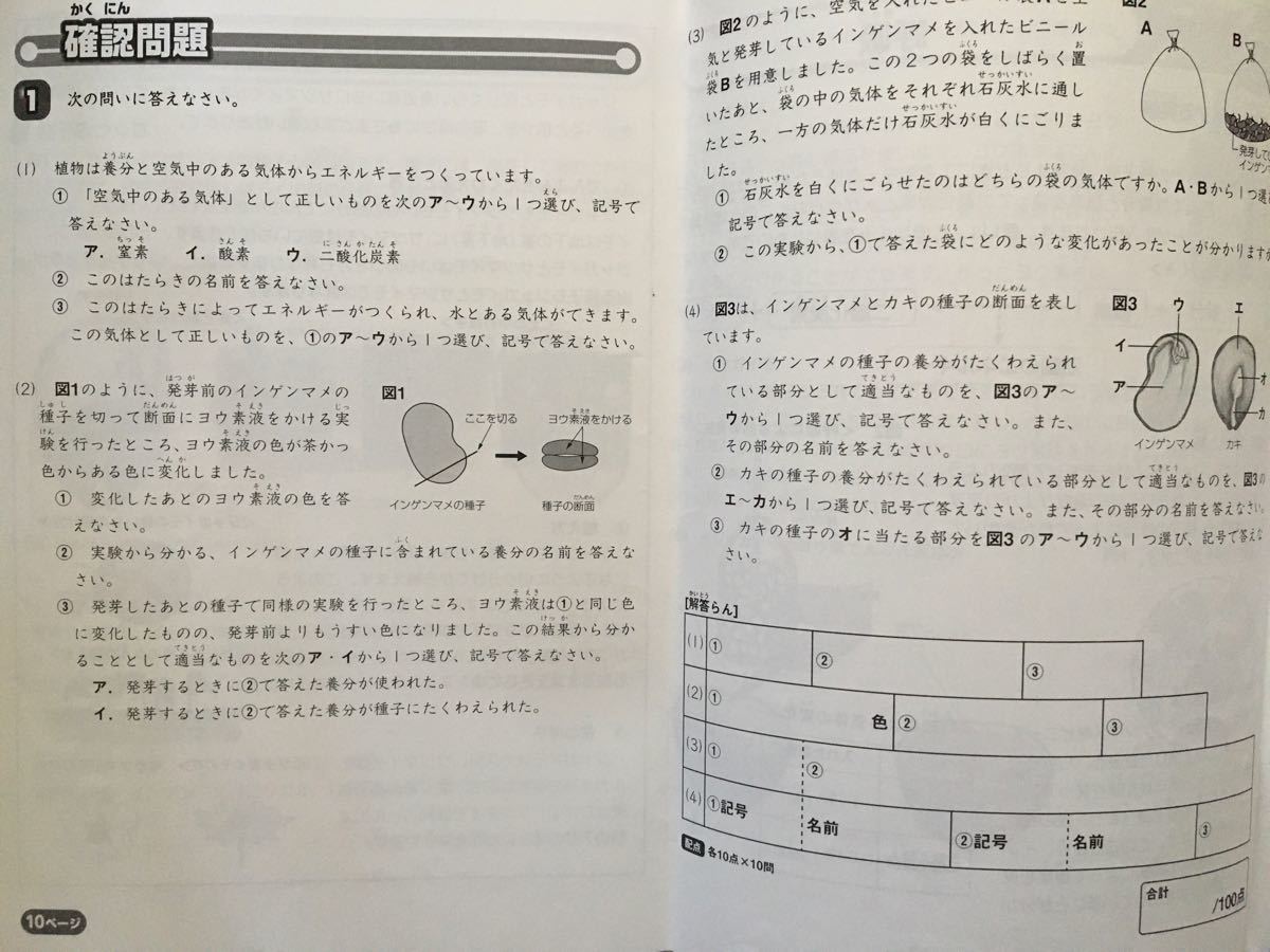 2019年度 サピックス 小学4年 理科|Yahoo!フリマ(旧PayPayフリマ) 2019年度 サピックス 小学4年 理科|Yahoo!フリマ(旧PayPayフリマ)