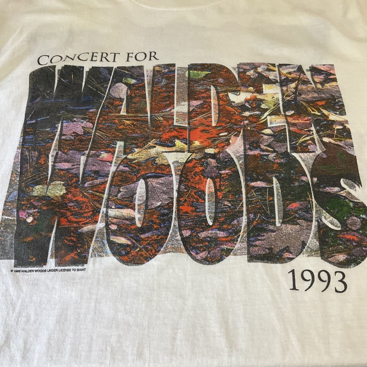 USA製 WALDEN WOODS 90年代 ヴィンテージ バンドTシャツ 半袖Tシャツ 半袖 Tシャツ 古着 XL