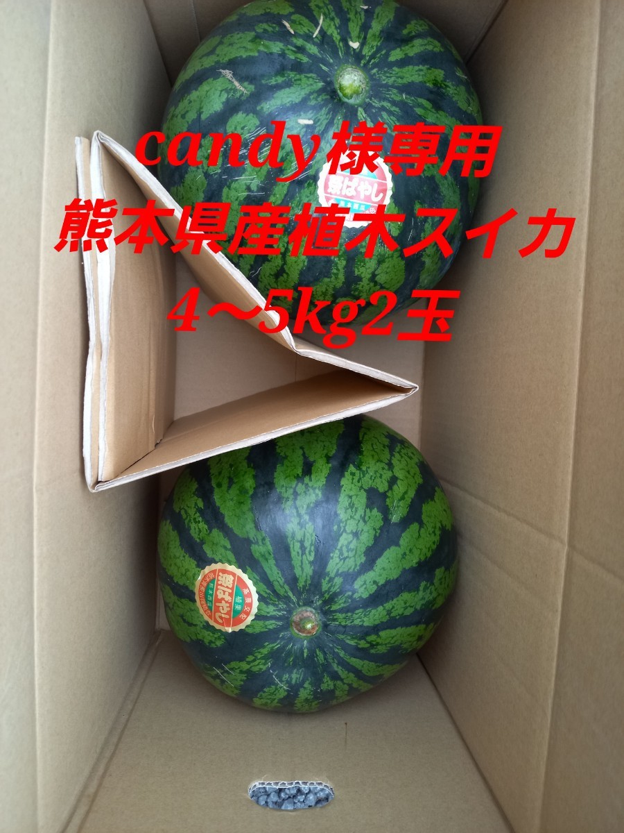 WEB限定 Suika様専用② ecousarecycling.com