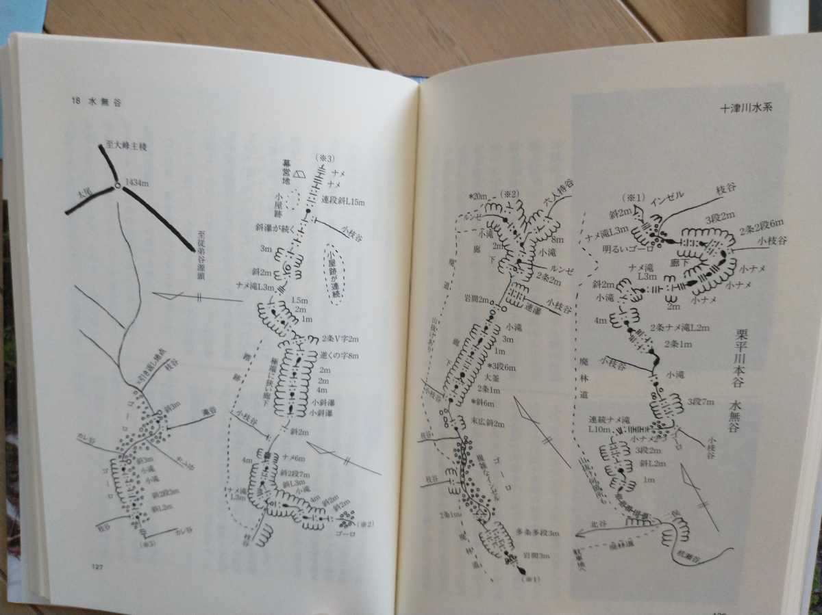 ★希少 大峰の沢 関西の沢登り 2 樋上嘉秀 近畿 沢登り 関西 ガイド　大峰の沢 送料無料