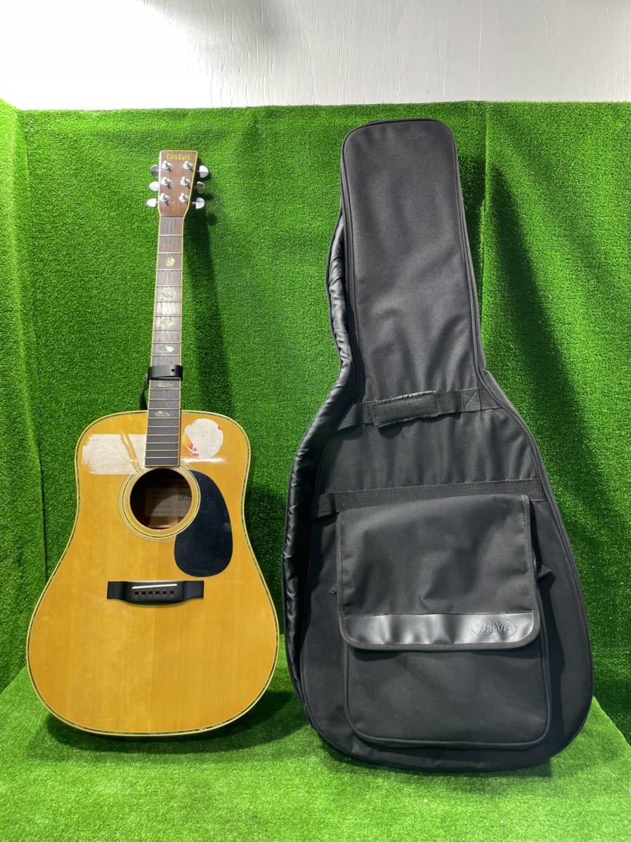 Cat\'s Eyes CE-320D アコースティックギター ハードケース付 fkip