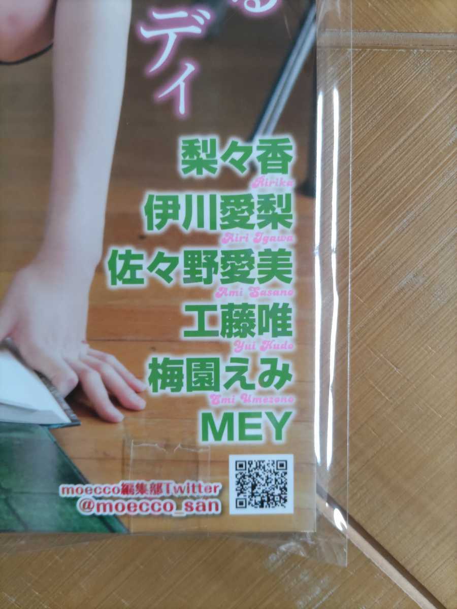 moecco モエッコ Vol.80・月見里愛莉・星七虹心・佐藤るな・如月 moecco モエッコ Vol.80・月見里愛莉・星七虹心・佐藤るな・如月