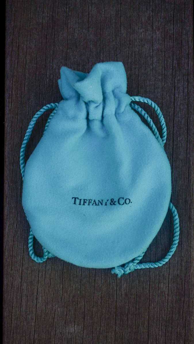 TIFFANY&Co. ティファニー ダブル シャックル キーリング シルバー925