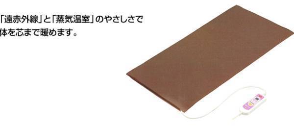 温蒸浴うるおい フランスベッド スリーミー2122 定価54000円 温蒸浴うるおい フランスベッド スリーミー2122 定価54000円