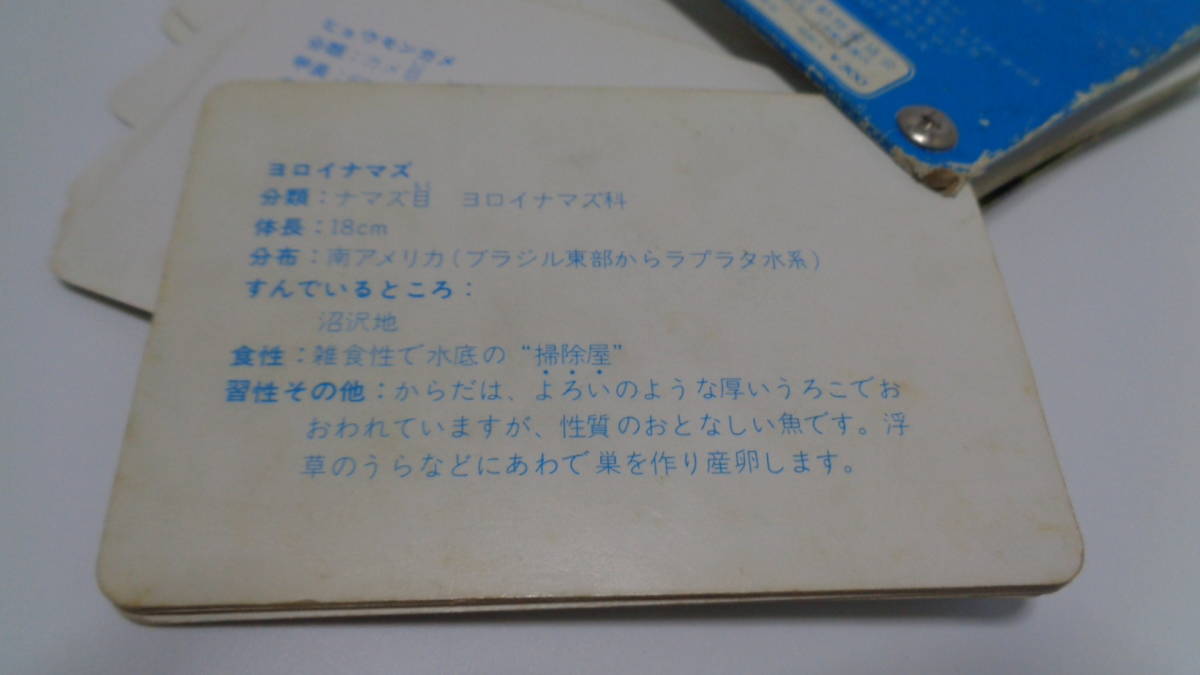 ★レトロ☆CARD★珍品「[送料370円] 上野動物園水族館 水族館カード 11.5×8cm 東京動物園協会 降旗美術印刷株式会社」当時物 現状渡し_画像9