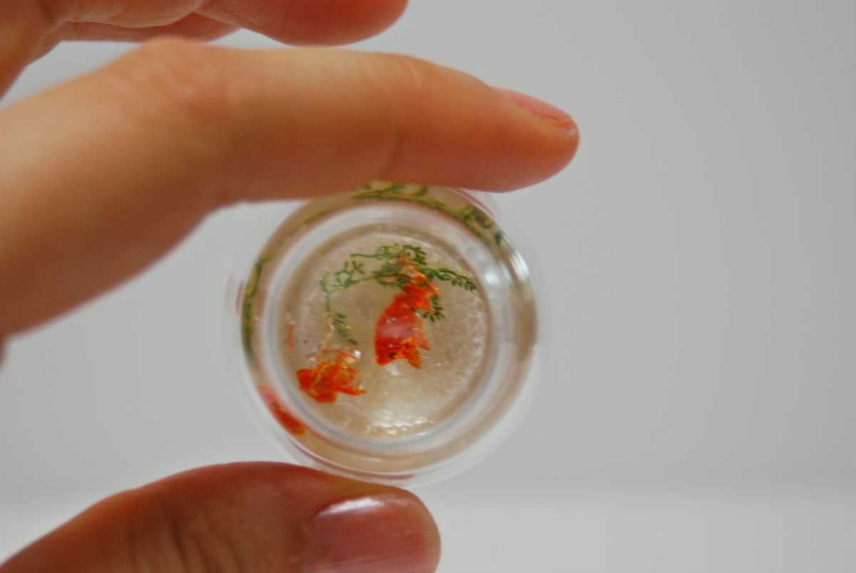 ミニチュア◇琉金の金魚鉢◇金魚レジン*アクアリウム ミニチュア◇琉金の金魚鉢◇金魚レジン*アクアリウム