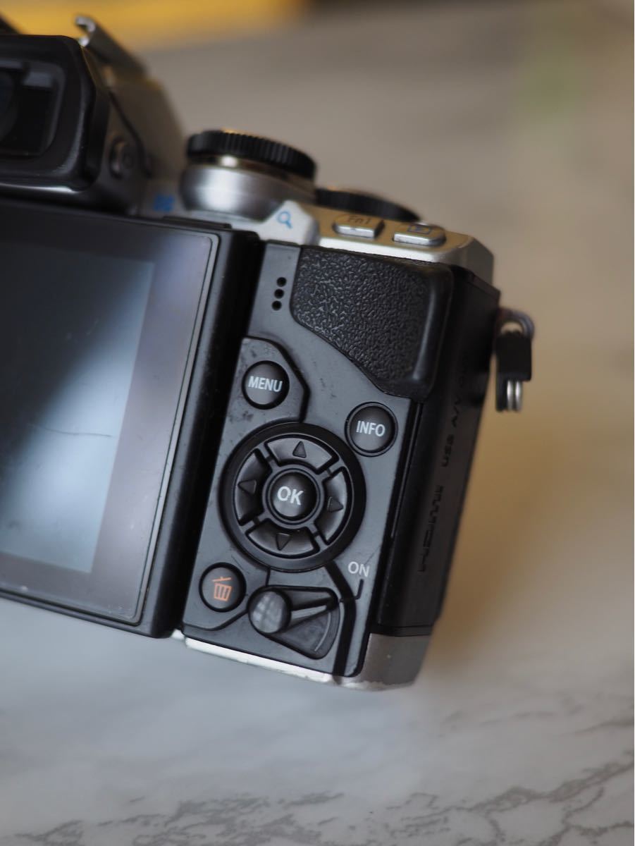 動作品!OLYMPUS】OM-D E-M10 初代 SLV BODY capacitacion