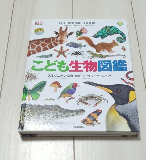 Paypayフリマ Dk スミソニアン協会監修 こども生物図鑑 オールカラー 300ページ カバーなし Paypayフリマ Dk スミソニアン協会監修 こども生物図鑑 オールカラー 300ページ カバーなし
