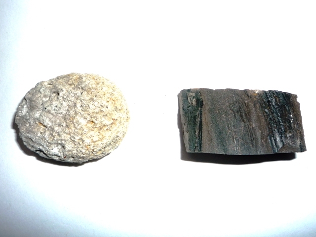 手作りのミニ標本「伊勢志摩地方産出の奇石と珍石」（９種類）_画像10．漂着軽石(左)と珪化木(右)です