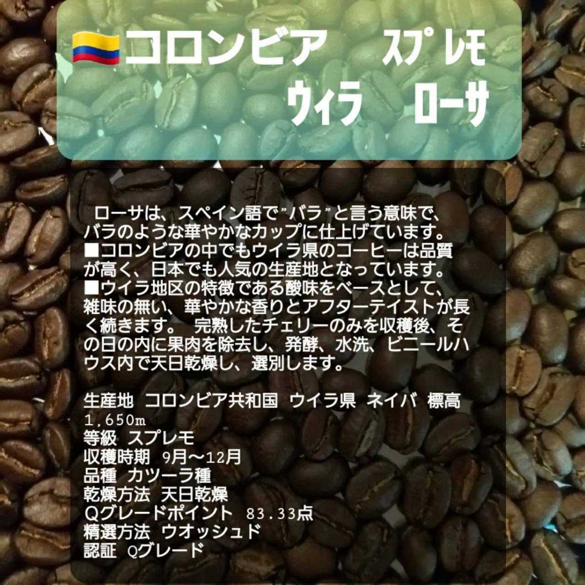 自家焙煎屋　coffee　珈琲豆　SPECIAL4種類選べるセット　600g