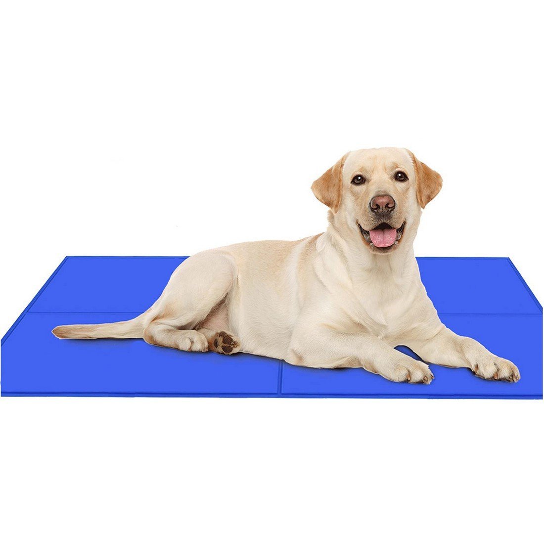 405円 新品入荷 Petomi ペットクールマット ひんやり 冷感マット 犬猫用クールジェルマット 冷却シート夏用 熱中症対策 人間ペット兼用 40 50cm 405円 新品入荷 Petomi ペットクールマット ひんやり 冷感マット 犬猫用クールジェルマット 冷却シート夏用 熱中症対策 人間ペット兼用 40 50cm