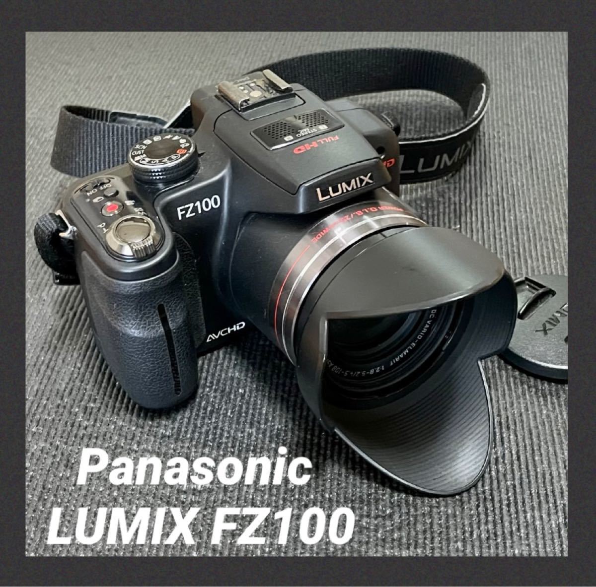 パナソニック LUMIX DMC-FZ100(高画質&ムービーもおまかせiA)