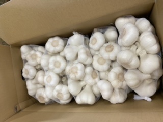 青森県 新物 生にんにく10Kg L 六月終了 | monsterdog.com.br