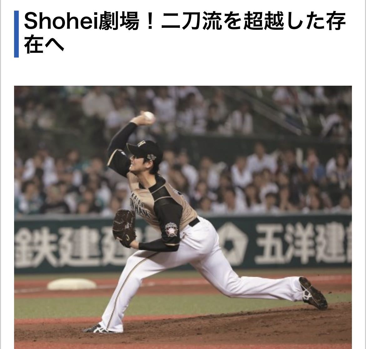 送料無料 即落 袋付き新品 北海道日本ハムファイターズ 大谷翔平 送料無料 即落 袋付き新品 北海道日本ハムファイターズ 大谷翔平