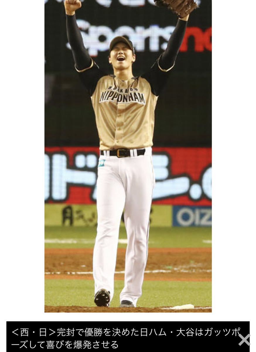 送料無料 即落 袋付き新品 北海道日本ハムファイターズ 大谷翔平 送料無料 即落 袋付き新品 北海道日本ハムファイターズ 大谷翔平