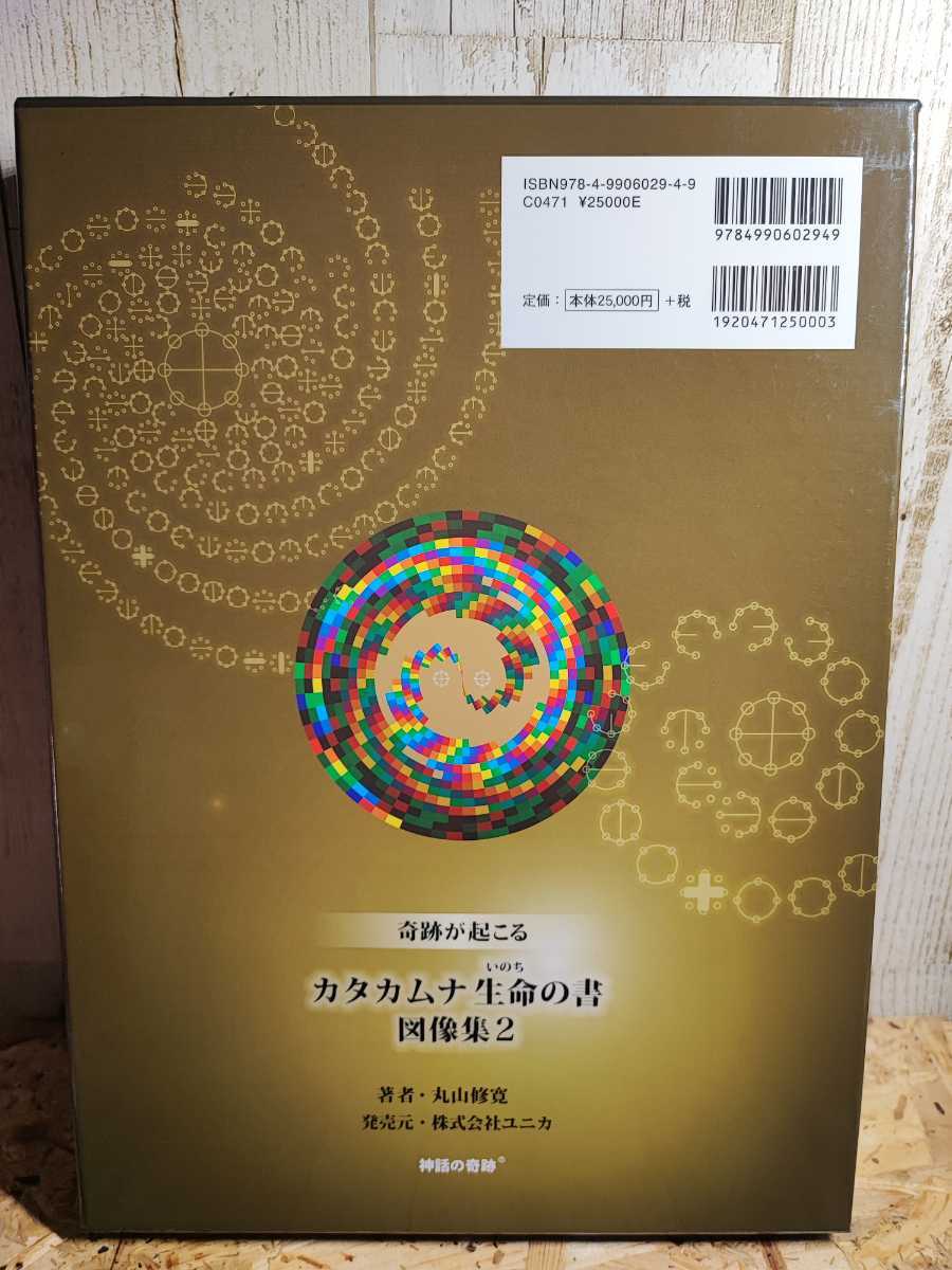 【極美品/希少】カタカムナ 生命の書 奇跡が起こる 図像集2 著者 丸山修寛 入手困難 波動 磁場 静電三法 古代文字 _画像4