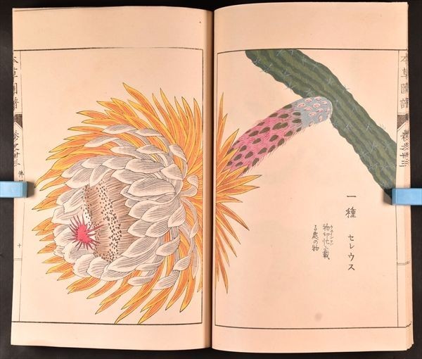 『明実録』の琉球史料 一・二・三巻 3冊セット Yahoo!オークション - 本草図譜 巻之三十三 石草類二 1冊 岩崎灌