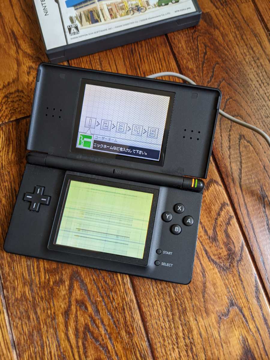 DS Lite ニンテンドー DSライト ソフト2本付き コンビニ いただきストリート ジャンク品 おまけ付き