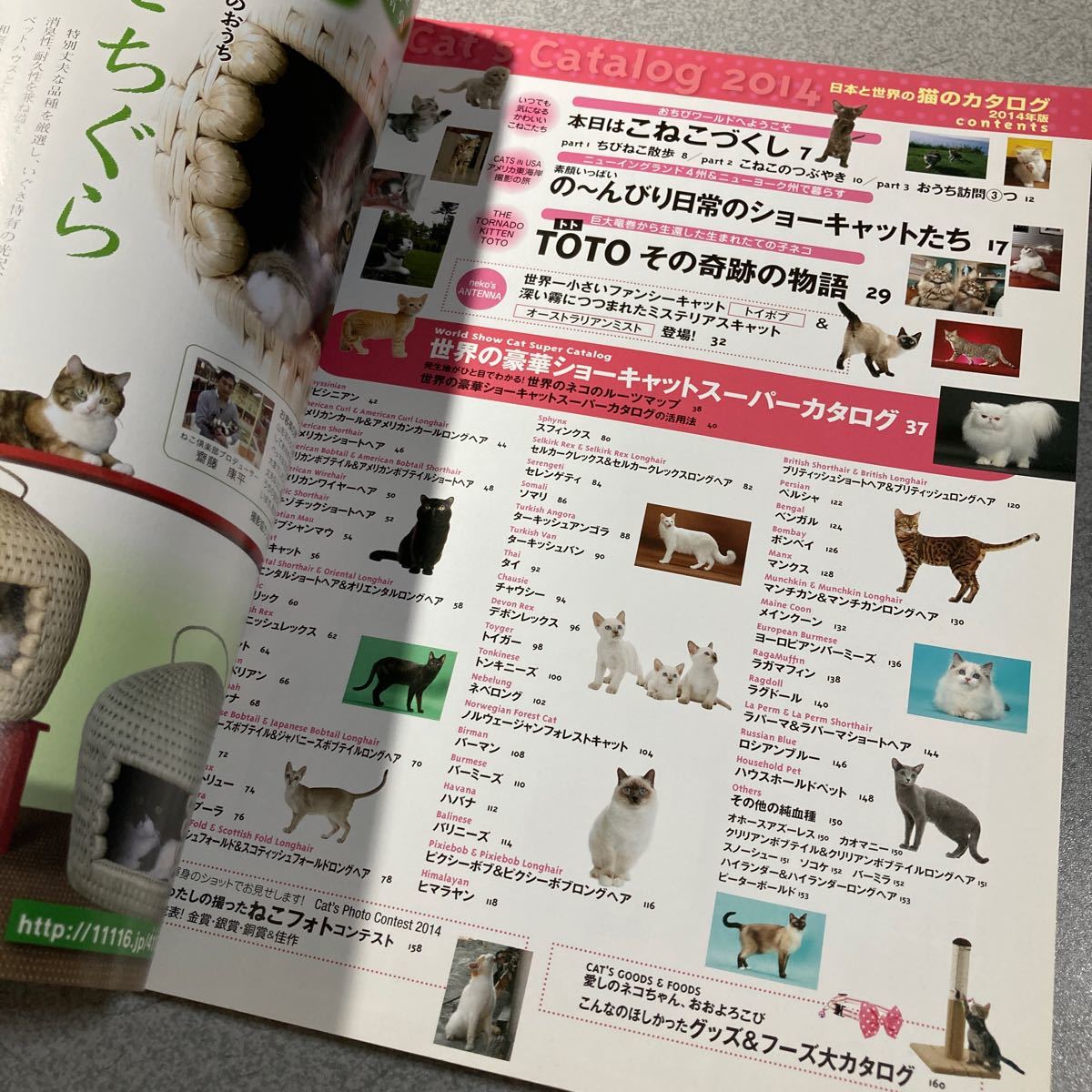 日本と世界の猫のカタログ (２０１４年版) ＳＥＩＢＩＤＯ ＭＯＯＫ／小島正記