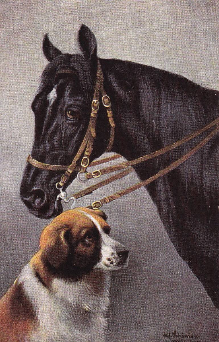  антиквариат  почта   карточка 　 картина ...　 черный  лошадь   и  собака 