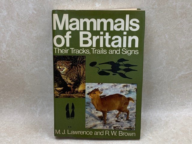 洋書　イギリスの動物　足跡・獣道　YAC378_画像1