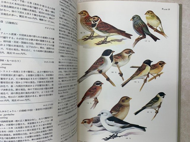 新版鳥類原色大図説 全3巻揃 黒田長礼 1980年 CGD2301 自然科学 新版鳥類原色大図説 全3巻揃 黒田長礼 1980年 CGD2301 自然科学
