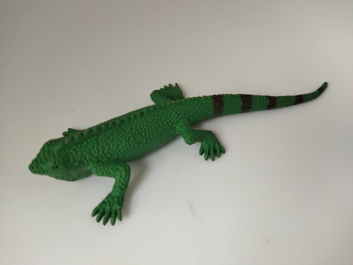 いぐあな　iguana　イグアナ　グリーンイグアナ　　　フィギュア　置物　置き物　飾り物　飾り　緑　ミドリ　ミニチュア_画像4