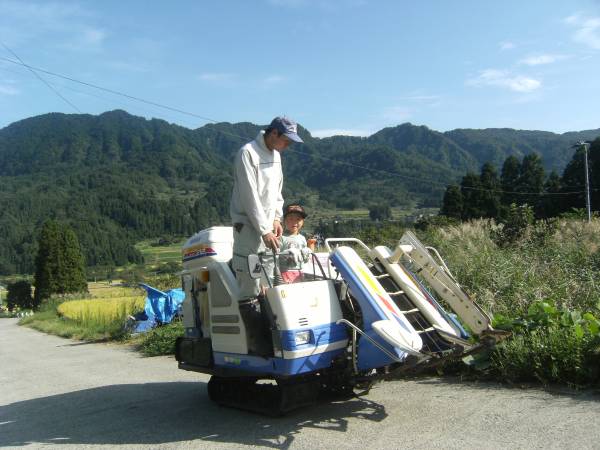 農家直送令和3年産新潟県産コシヒカリBL玄米 3０㎏_息子とコンバインで稲刈り