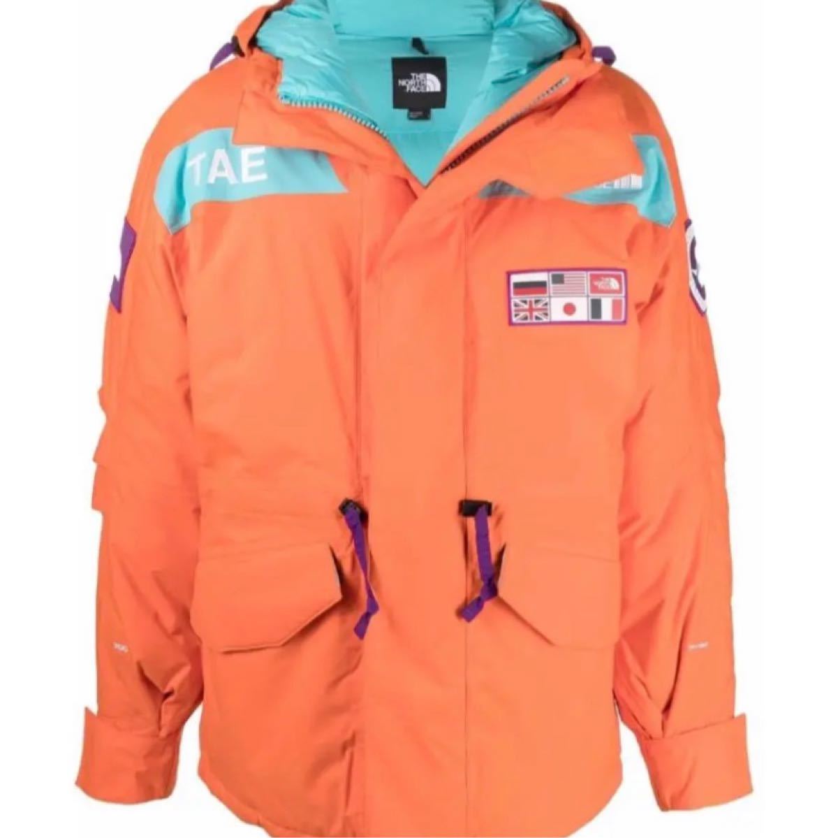 THE NORTH FACE TAE Trans Antarctica ダウンジャケット L アンターク