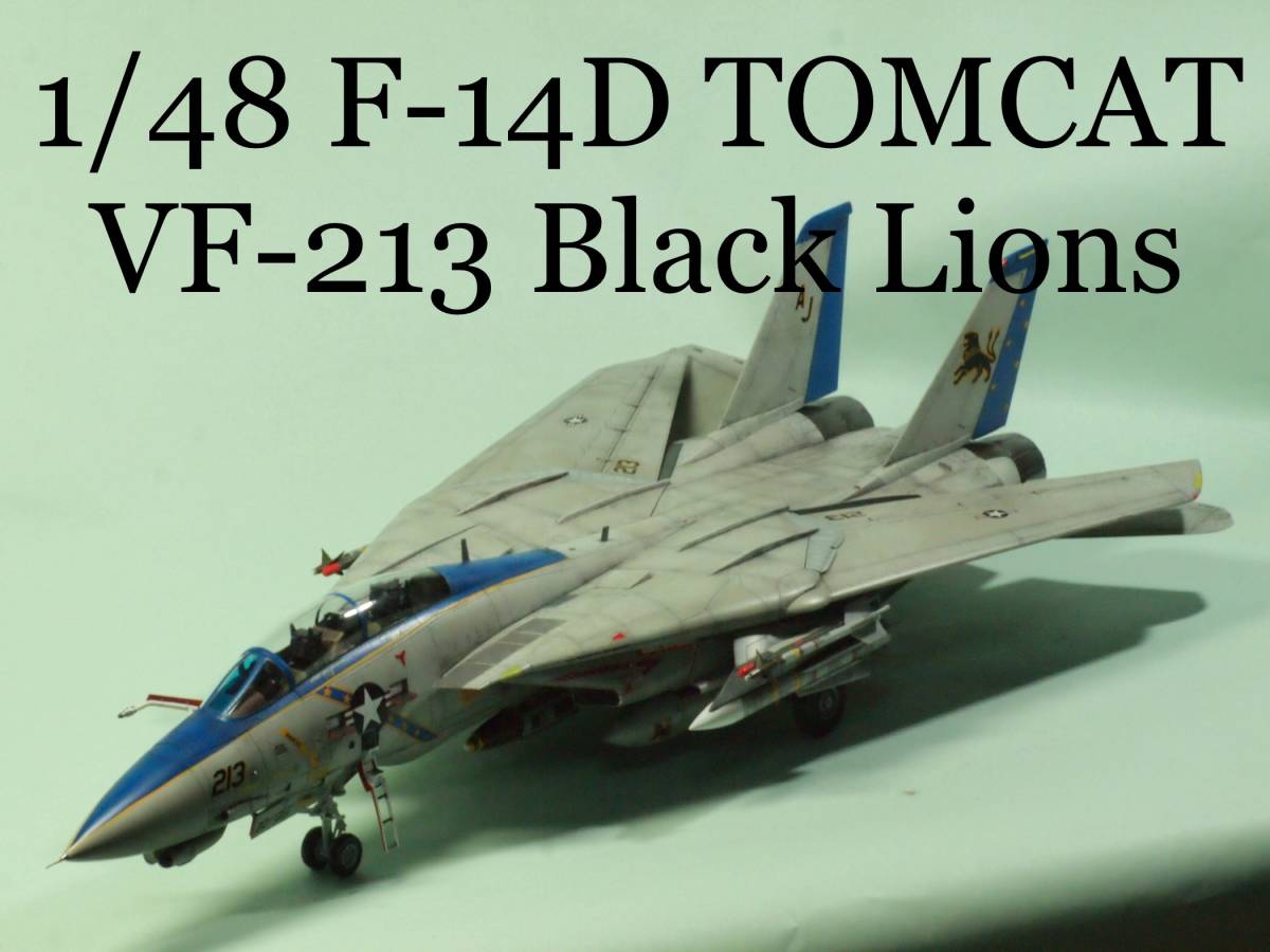 完成品 1/48 タミヤ トムキャット F-14D TOMCAT Grumman VF-213 Black Lions 航空団司令機