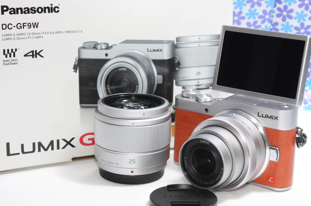 極上美品☆Wi-fi機能搭載☆Panasonic LUMIX DC-GF9 ダブルレンズセット