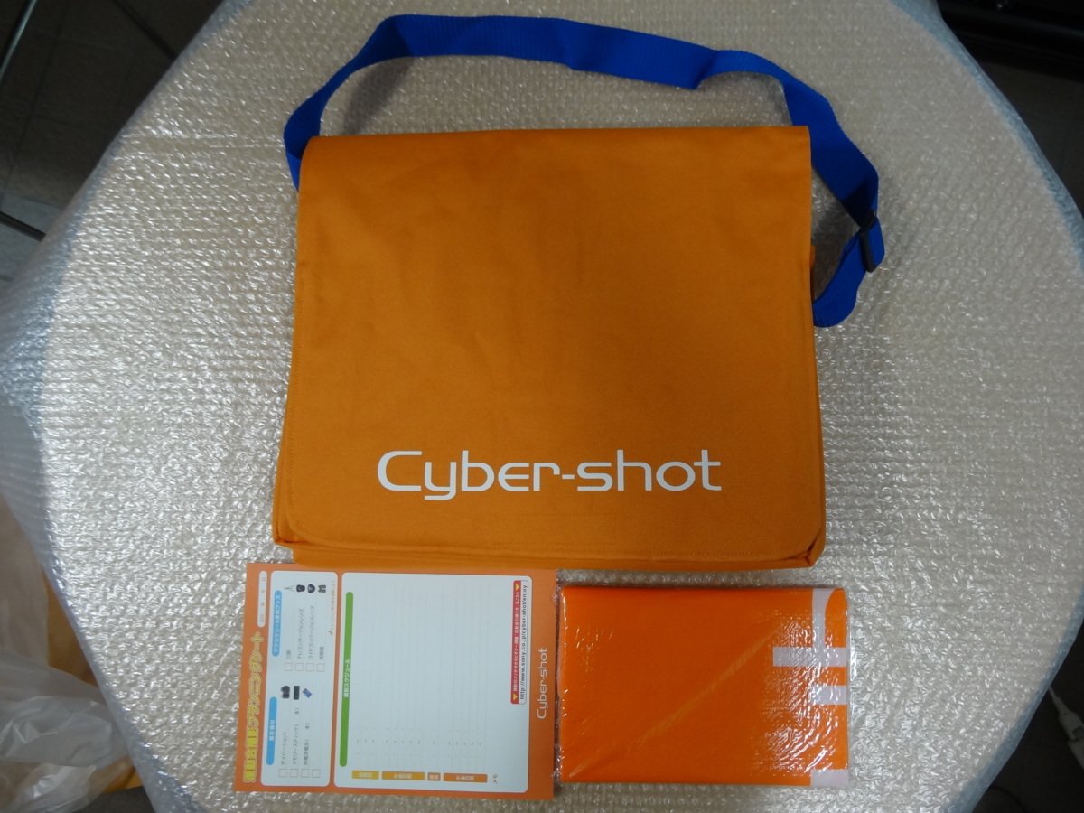 ● 送料無料 ● SONY Cyber-shot レジャー簡易クーラーバッグ レジャーシート ● ソニー