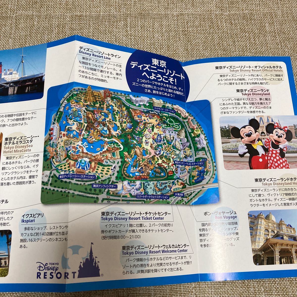 Paypayフリマ 東京ディズニーリゾート完全ガイド ２０１５ ２０１６ ｄｉｓｎｅｙ ｉｎ ｐｏｃｋｅｔ 旅行レジャースポーツ
