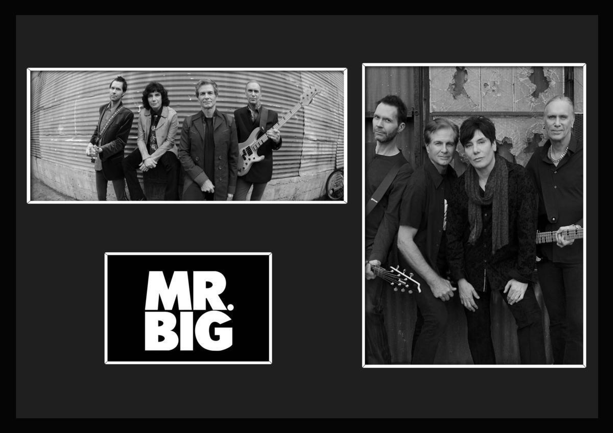 8 вид!MR.BIG/ Mr. * большой /ROCK/ блокировка частота группа / сертификат имеется рама /BW/ монохромный / дисплей (5-3W)